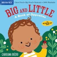 Indestructibles (The Original): Big and Little: A Book of Opposites