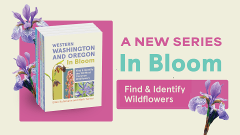 A new series in bloom