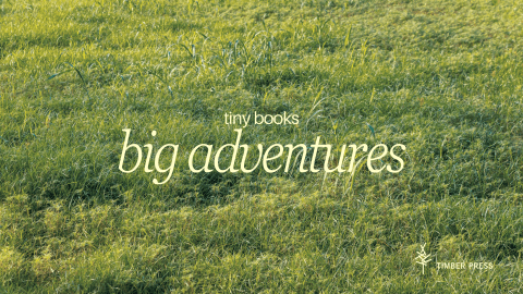 tiny books big adventures